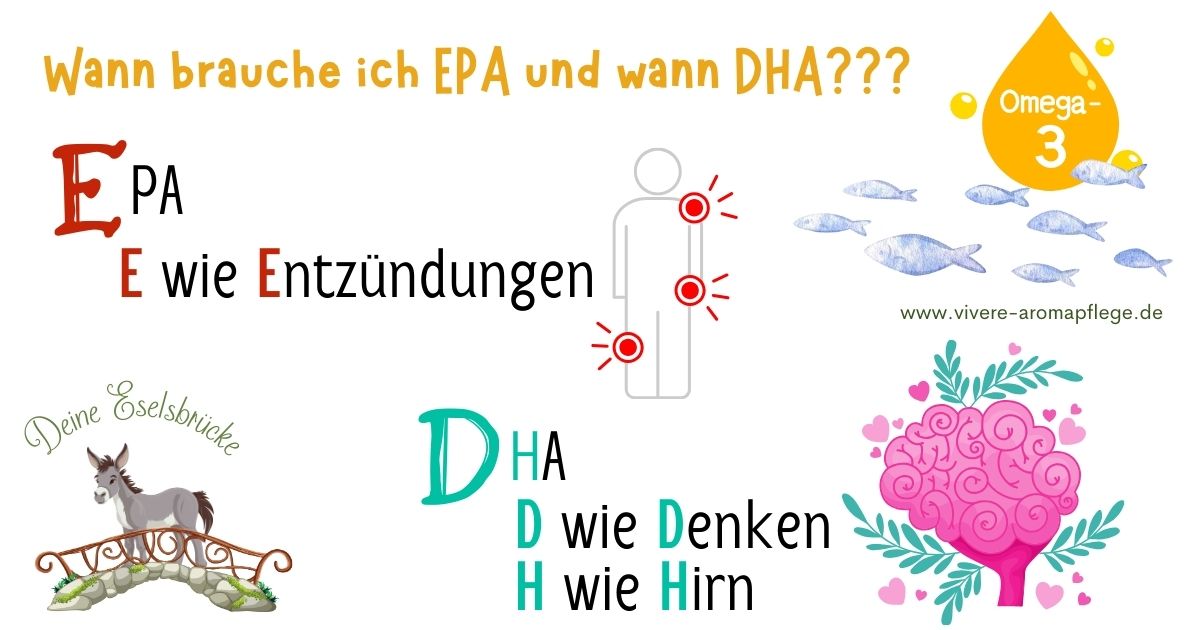 “Omega-3: Was du wissen solltest – wichtig, wirkungsvoll, essentiell!”