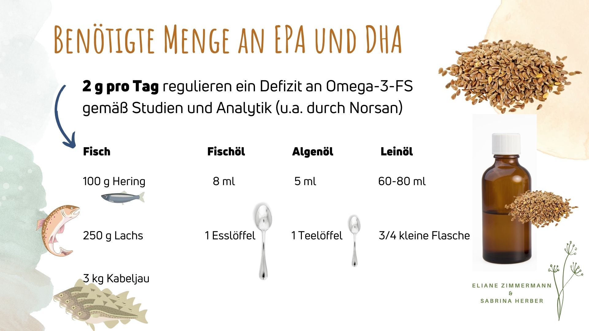 Welche Omega-3-Fettsäuren gibt es – und warum sind sie wichtig?