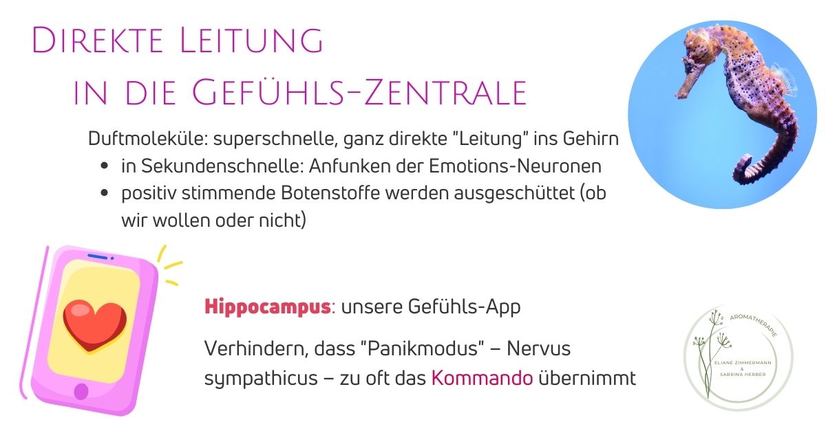 Gymnastik fürs Gehirn mit Aromatherapie