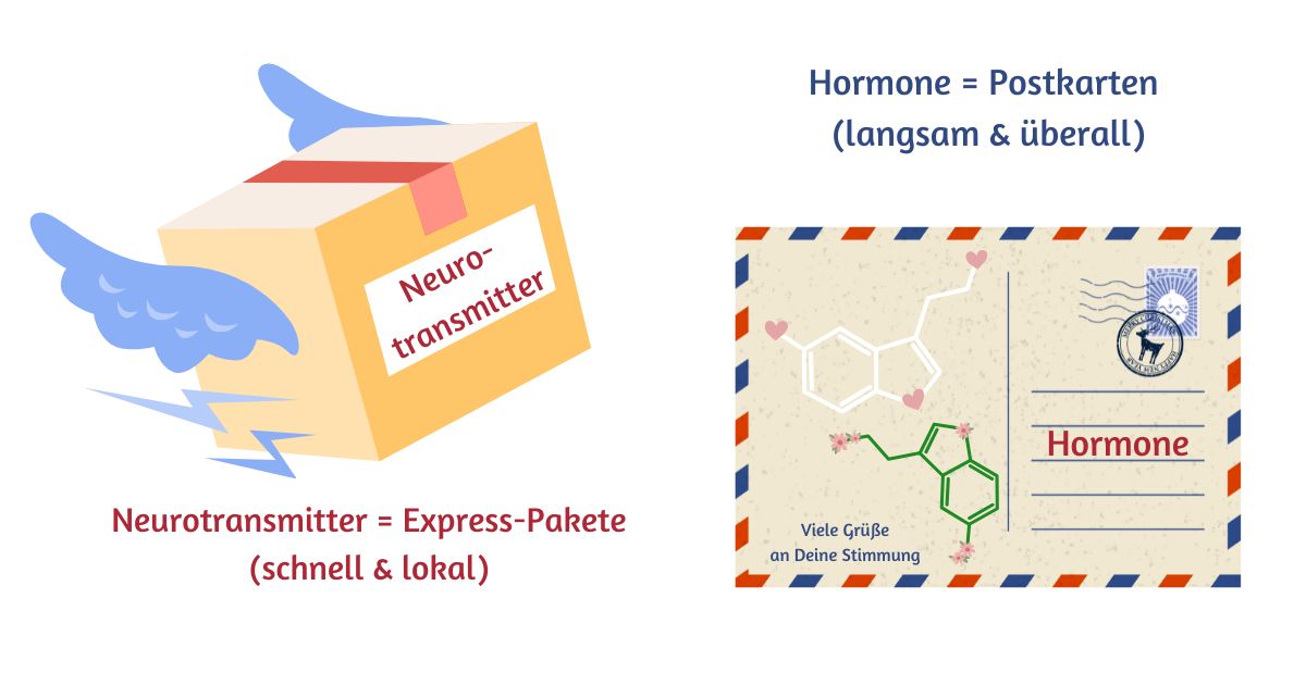 Aromatherapie - Naturdüfte im Hormon- und Botenstoffkarussell